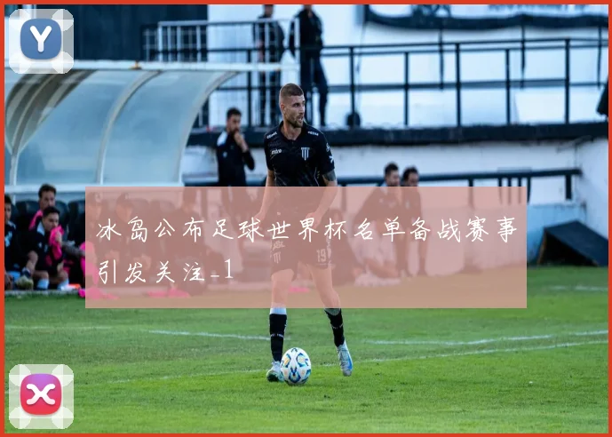 冰岛公布足球世界杯名单备战赛事引发关注_1