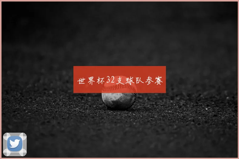 世界杯32支球队参赛