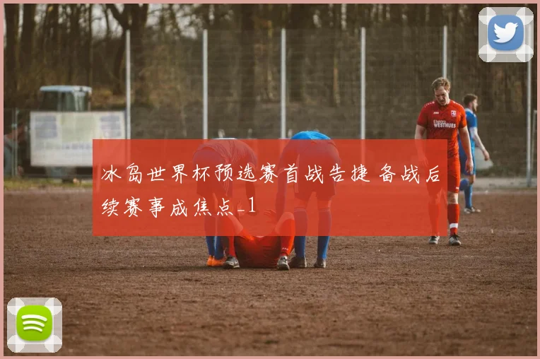 冰岛世界杯预选赛首战告捷 备战后续赛事成焦点_1