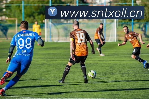 数据防护可视化